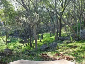 Townhouse/Cluster to Rent in Rolf Valley