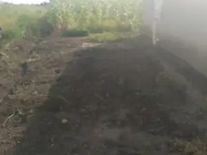 Residential Stand for Sale