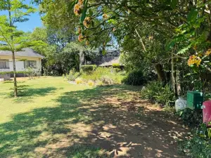 3 Bedroom House to Rent in Alexandra Park