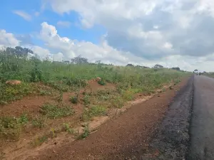 Residential Stand for Sale