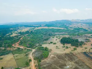 Commercial Stand for Sale