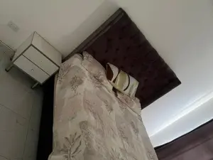 4 Bedroom House to Rent in Sandton Park