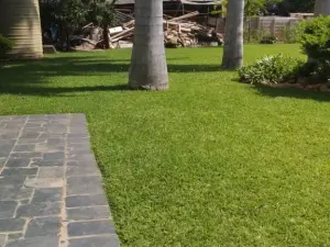 3 Bedroom House to Rent in Borrowdale West