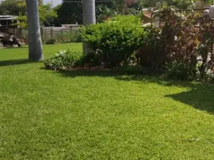 3 Bedroom House to Rent in Borrowdale West