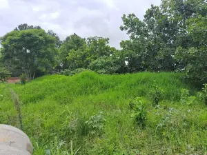 Residential Stand for Sale