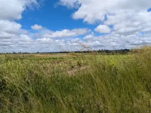 Residential Stand for Sale