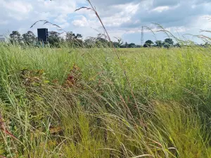 Commercial Stand for Sale