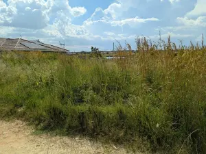 Residential Stand for Sale