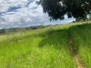 Residential Stand for Sale