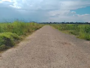 Commercial Stand for Sale