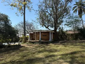 Office to Rent in Greystone Park