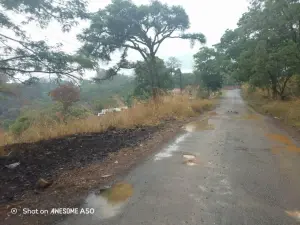 Residential Stand for Sale