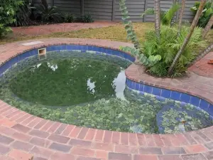 Flat/Apartment to Rent in Newlands