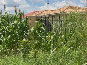 Residential Stand for Sale