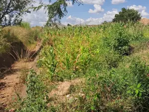 Residential Stand for Sale