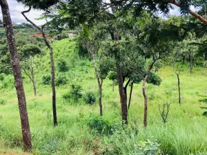 Residential Stand for Sale