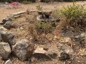 Residential Stand for Sale