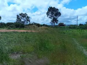 Commercial Stand for Sale