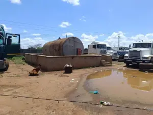 Commercial Stand for Sale