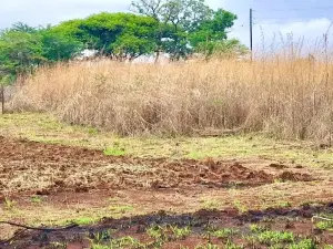 Residential Stand for Sale