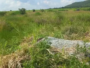 Residential Stand for Sale