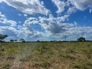 Residential Stand for Sale