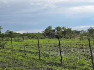 Commercial Stand for Sale