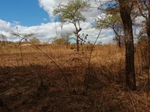 Residential Stand for Sale