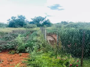 Residential Stand for Sale