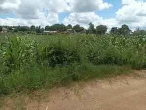 Residential Stand for Sale