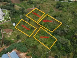 Residential Stand for Sale