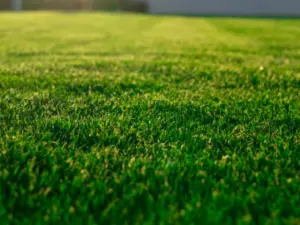 Residential Stand for Sale