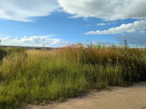 Residential Stand for Sale