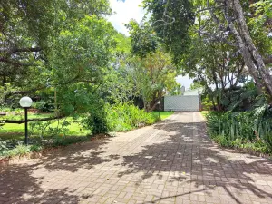 3 Bedroom House to Rent in Alexandra Park