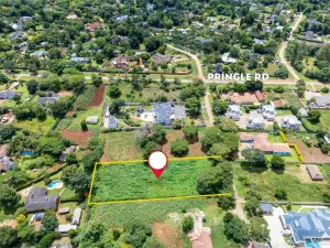 Residential Stand for Sale