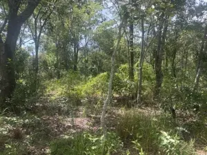 Residential Stand for Sale