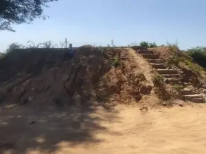 Commercial Stand for Sale