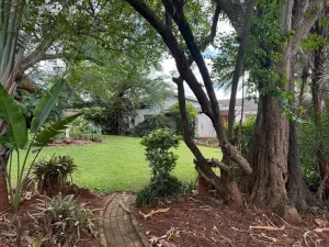 4 Bedroom House to Rent in Chisipite