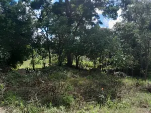 Residential Stand for Sale