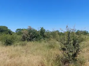 Residential Stand for Sale