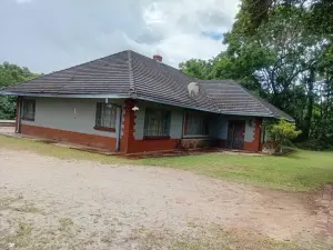 Commercial Stand for Sale