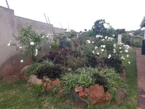 7 Bedroom House to Rent in Pomona