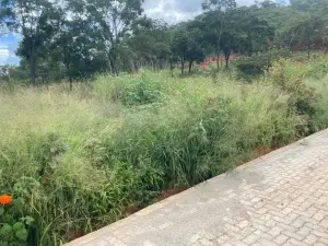 Residential Stand for Sale