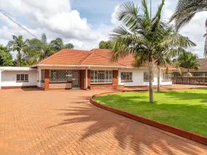 Other Commercial to Rent in Belvedere