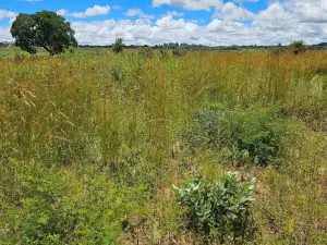 Residential Stand for Sale