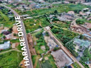 Commercial Stand for Sale