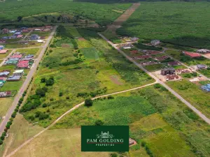 Commercial Stand for Sale