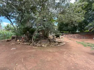 House to Rent in Ballantyne Park