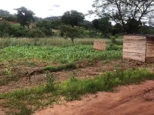 Residential Stand for Sale