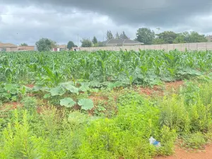 Residential Stand for Sale